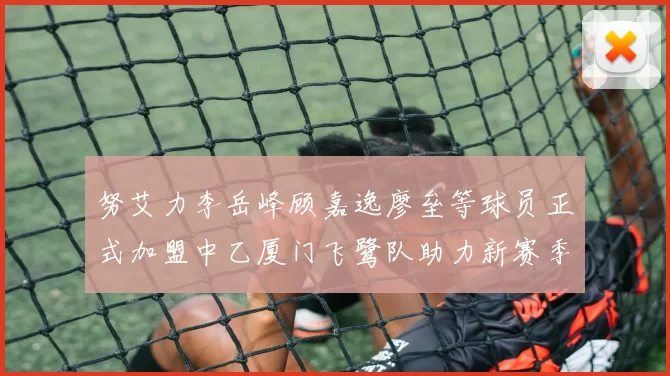 努艾力李岳峰顾嘉逸廖垒等球员正式加盟中乙厦门飞鹭队助力新赛季
